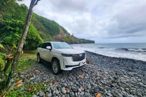 Maui: Excursión Privada Todo Incluido Camino a Hana con Recogida
