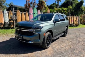 Maui: Excursión Privada Todo Incluido Camino a Hana con Recogida