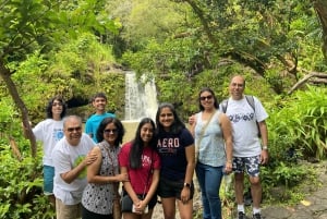 Maui: Excursión Privada Todo Incluido Camino a Hana con Recogida