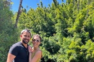 Maui: Excursión Privada Todo Incluido Camino a Hana con Recogida