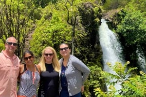 Maui: Excursión Privada Todo Incluido Camino a Hana con Recogida