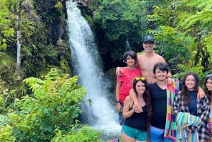 Maui: Excursión Privada Todo Incluido Camino a Hana con Recogida