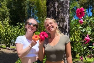 Maui: Excursión Privada Todo Incluido Camino a Hana con Recogida