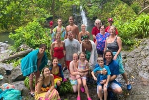 Maui: Excursión Privada Todo Incluido Camino a Hana con Recogida