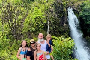 Maui: Excursión Privada Todo Incluido Camino a Hana con Recogida