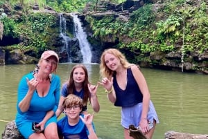 Maui: Excursión Privada Todo Incluido Camino a Hana con Recogida