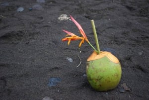 Maui: Excursión Privada Todo Incluido Camino a Hana con Recogida