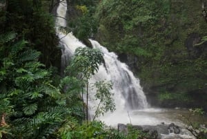 Maui: Excursión Privada Todo Incluido Camino a Hana con Recogida