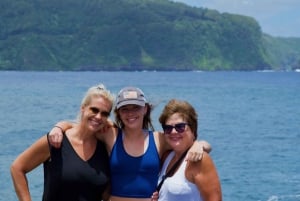 Maui: Excursión Privada Todo Incluido Camino a Hana con Recogida