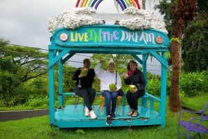 Maui: Excursión Privada Todo Incluido Camino a Hana con Recogida