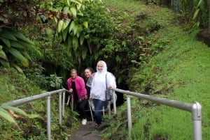 Maui: Excursión Privada Todo Incluido Camino a Hana con Recogida