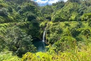 Maui: Excursión Privada Todo Incluido Camino a Hana con Recogida