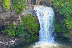 Maui: Excursión Privada Todo Incluido Camino a Hana con Recogida