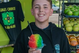 Maui: Excursión Privada Todo Incluido Camino a Hana con Recogida