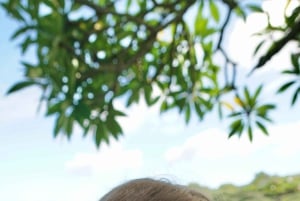 Maui: Excursión Privada Todo Incluido Camino a Hana con Recogida