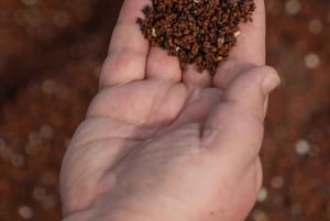 Maui: Excursión Privada Todo Incluido Camino a Hana con Recogida