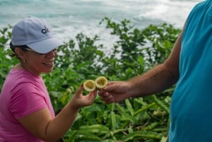 Maui: Excursión Privada Todo Incluido Camino a Hana con Recogida