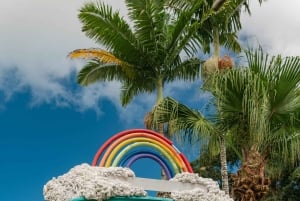 Maui: Excursión Privada Todo Incluido Camino a Hana con Recogida