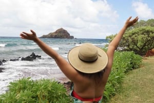 Maui: Excursión Privada Todo Incluido Camino a Hana con Recogida