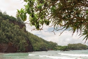 Maui: Excursión Privada Todo Incluido Camino a Hana con Recogida