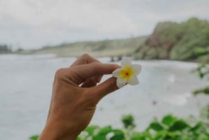 Maui: Excursión Privada Todo Incluido Camino a Hana con Recogida