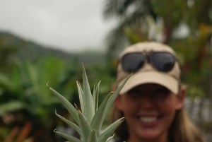 Maui: Excursión Privada Todo Incluido Camino a Hana con Recogida