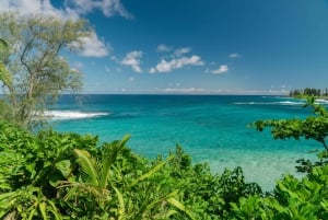 Maui: Excursión Privada Todo Incluido Camino a Hana con Recogida