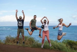 Maui: Excursión Privada Todo Incluido Camino a Hana con Recogida