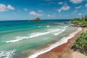 Maui: Excursión Privada Todo Incluido Camino a Hana con Recogida