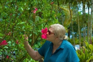 Maui: Excursión Privada Todo Incluido Camino a Hana con Recogida