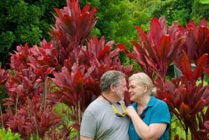 Maui: Excursión Privada Todo Incluido Camino a Hana con Recogida