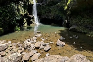 Maui: Excursión Privada Todo Incluido Camino a Hana con Recogida