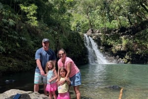 Maui: Excursión Privada Todo Incluido Camino a Hana con Recogida