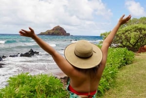 Maui: Excursión Privada Todo Incluido Camino a Hana con Recogida