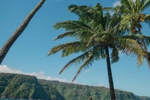 Maui: Excursión Privada Todo Incluido Camino a Hana con Recogida
