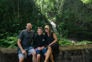 Maui: Excursión Privada Todo Incluido Camino a Hana con Recogida