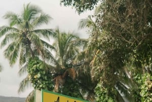 Maui: Excursión Privada Todo Incluido Camino a Hana con Recogida