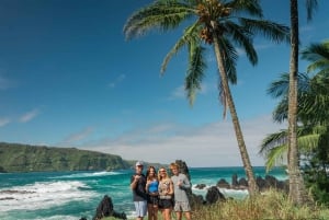 Maui: Excursión Privada Todo Incluido Camino a Hana con Recogida