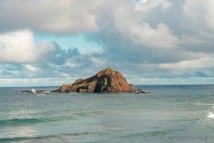 Maui: Excursión Privada Todo Incluido Camino a Hana con Recogida