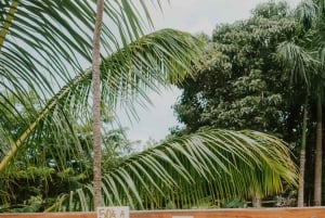 Maui: Excursión Privada Todo Incluido Camino a Hana con Recogida