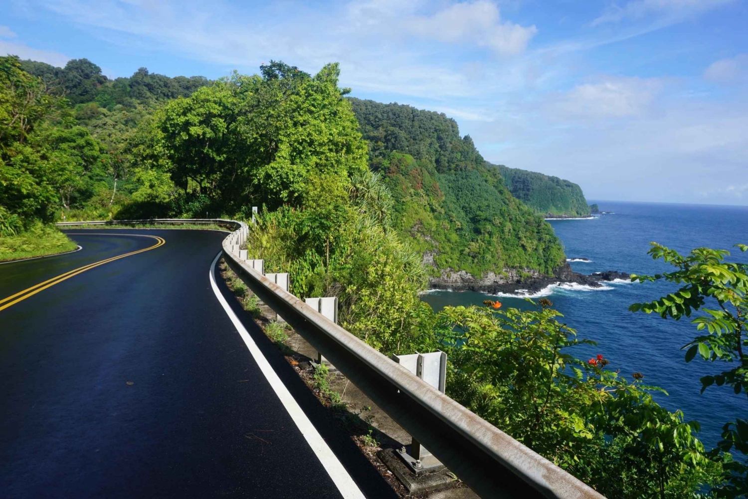 Maui: Private geführte Halfway to Hana Tour
