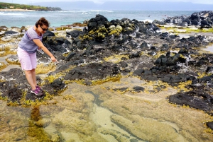 Maui: Private Guided Halfway to Hana Tour