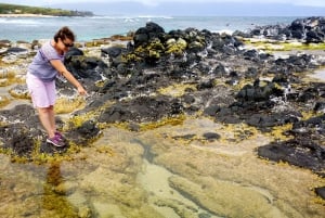Maui: Privat guidet halvveis til Hana-tur