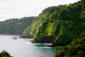 Maui: Privat guidet rundtur på halvvejs til Hana