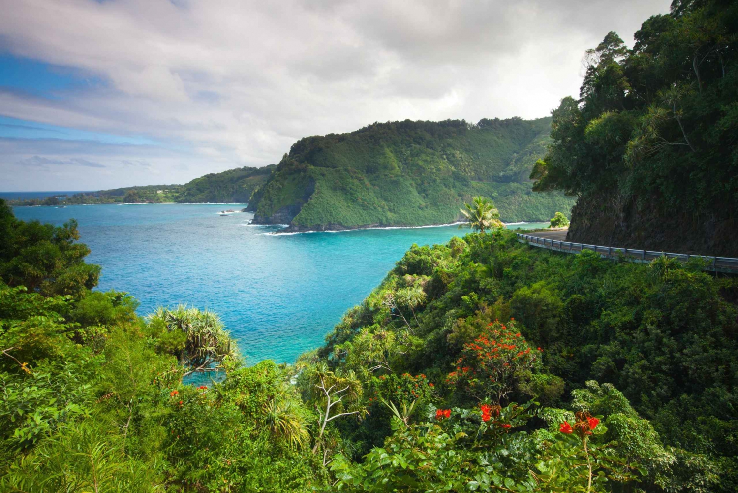 Maui: Escursione privata guidata di andata e ritorno a Hana