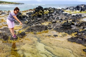 Maui: Excursión Privada Guiada de Ida y Vuelta a Hana