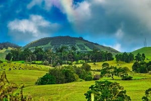 Maui: Private Upcountry Sunset Tour with Dinner
