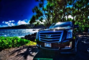 Maui: Private Upcountry Sunset Tour with Dinner