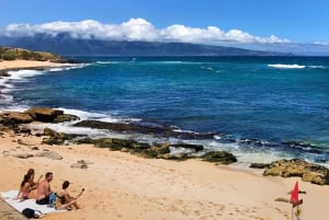 Maui : Visite privée à mi-chemin de Hana