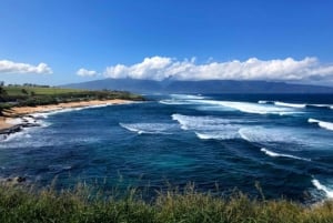 Maui : Visite privée à mi-chemin de Hana